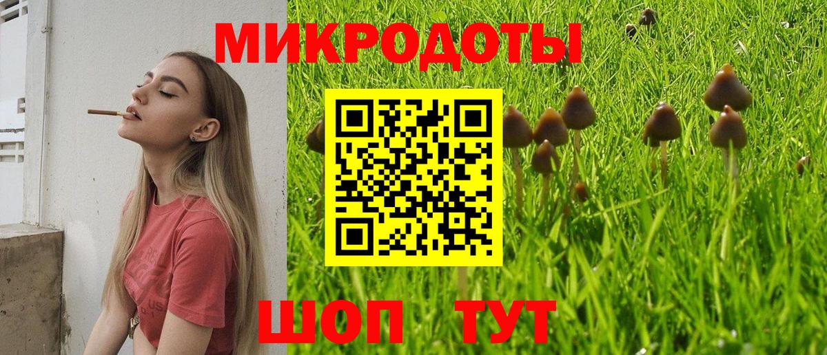 Галлюциногенные грибы Magic Shrooms Ухта