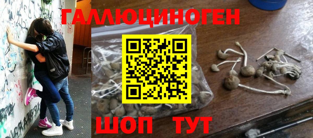 Псилоцибиновые грибы Magic Shrooms  Вход с VPN  Галлюциногенные грибы Cubensis  Ухта 